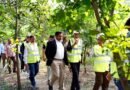 कोयले से बनी बिजली…राख से बना पहाड़…पहाड़ पर एनटीपीसी ने उगा दिया घना जंगल