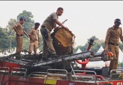 चंद मिनट की तेज हवा उखाड़ गई कई विशाल पेड़, फायर ब्रिगेड की गाड़ी और पांच दुकानें दबीं, एसपी ऑफिस भी आया पेड़ के नीचे